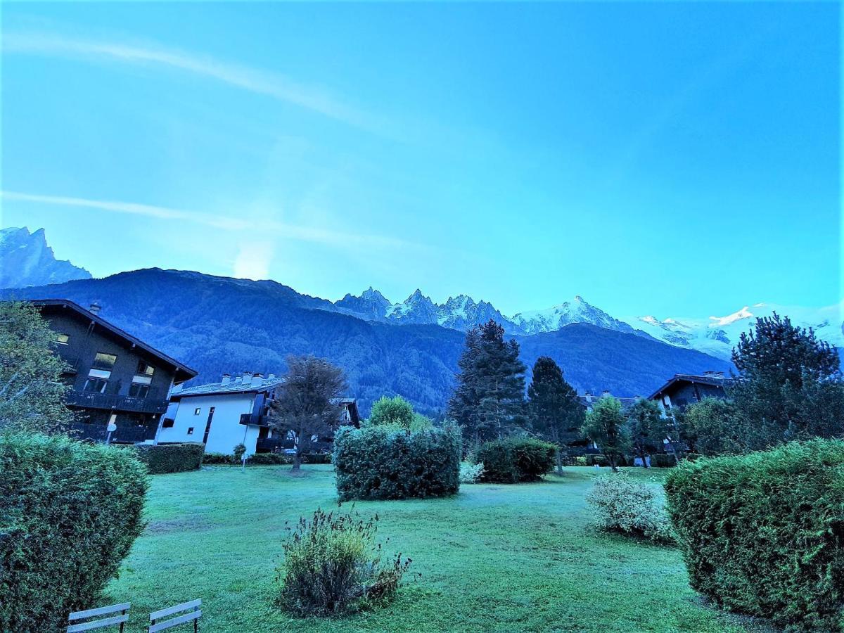 Chamonix Appartement Vue Mont Blanc Avec Jardin Ngoại thất bức ảnh