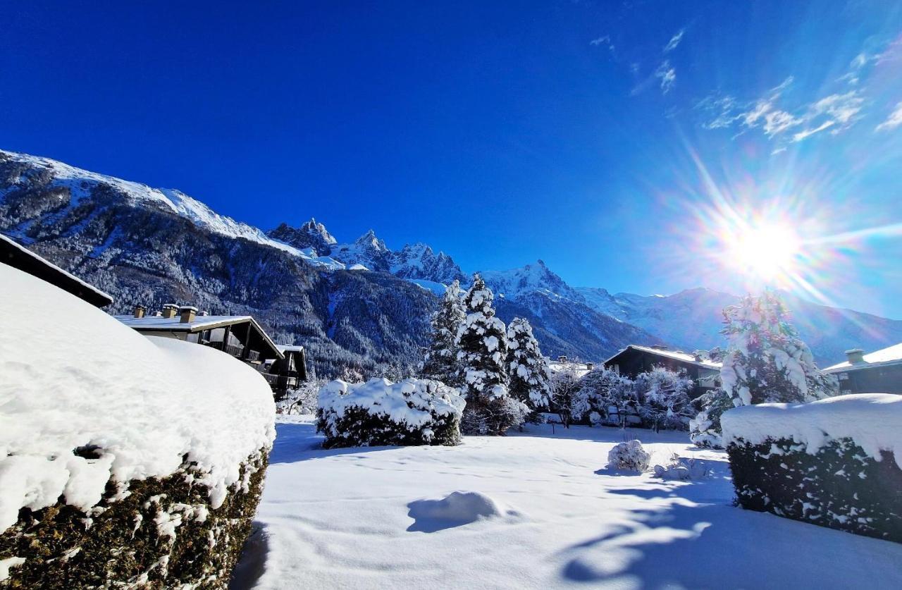 Chamonix Appartement Vue Mont Blanc Avec Jardin Ngoại thất bức ảnh