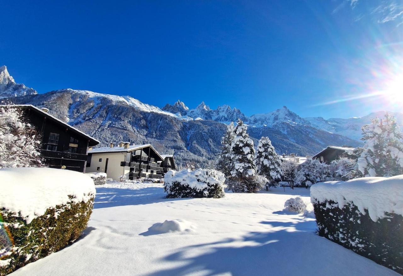 Chamonix Appartement Vue Mont Blanc Avec Jardin Ngoại thất bức ảnh